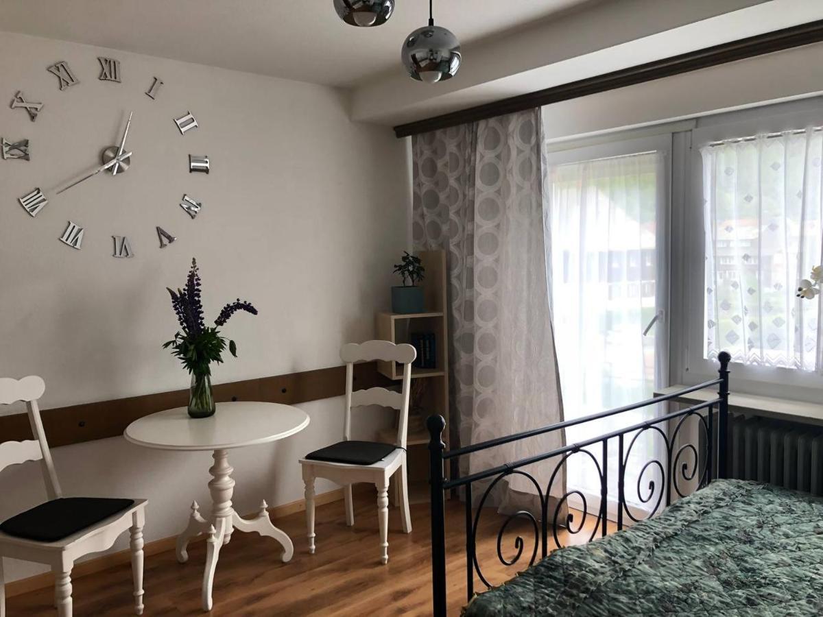 상트블라신 Haus Am Scheibenfelsen 아파트 외부 사진
