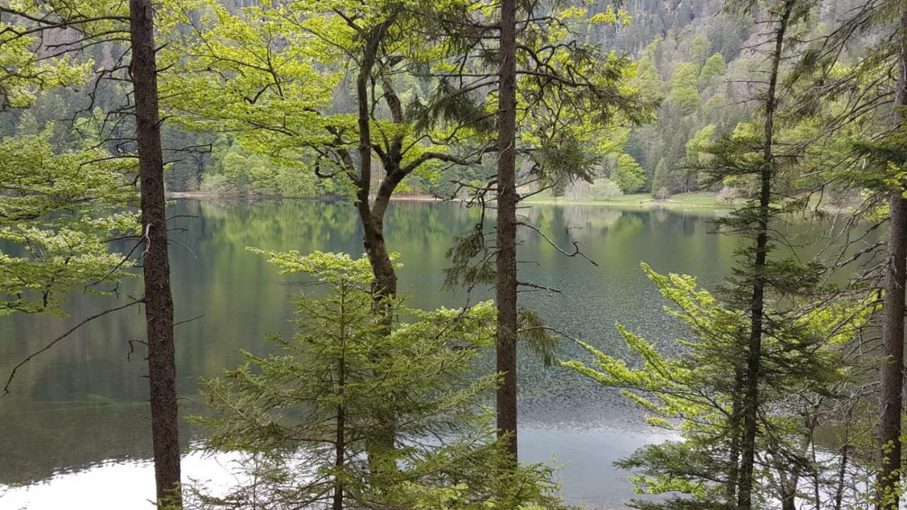 상트블라신 Haus Am Scheibenfelsen 아파트 외부 사진