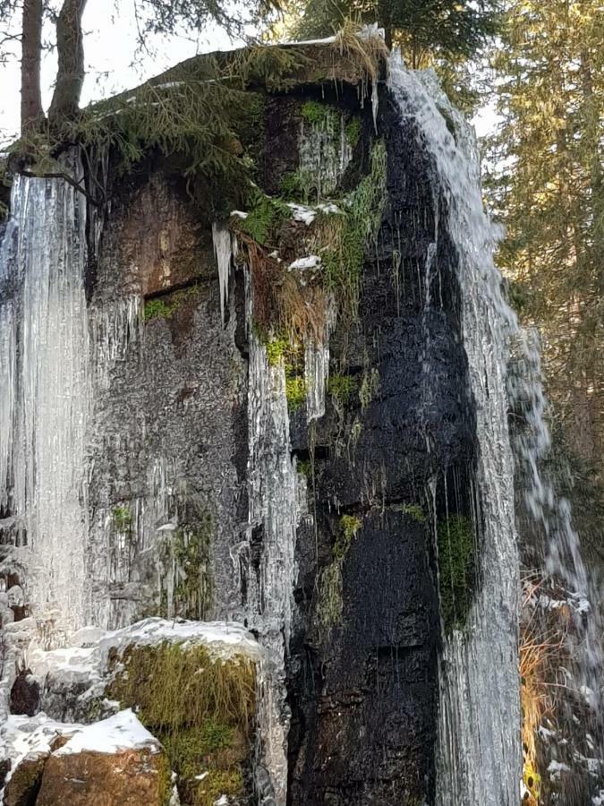 상트블라신 Haus Am Scheibenfelsen 아파트 외부 사진